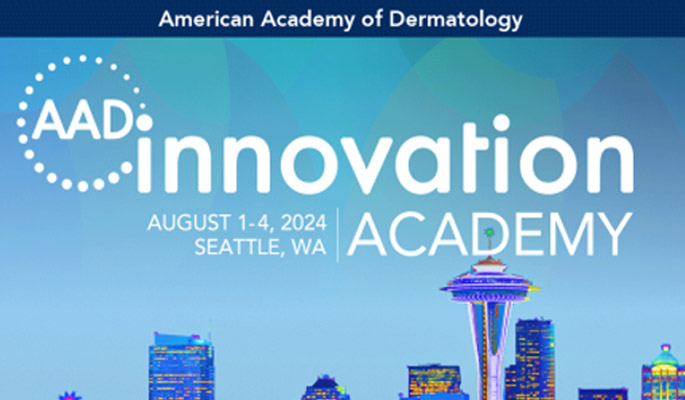 AAD Innovation Academy  - 2024 